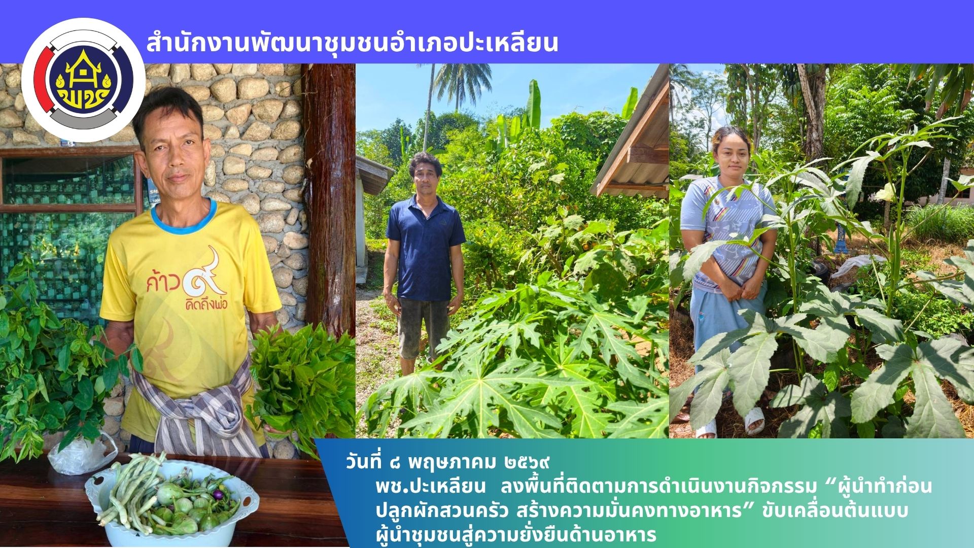 📢 พช.ปะเหลียน ลงพื้นที่ติดตามการดำเนินงานกิจกรรม “ผู้นำทำก่อน ปลูกผักสวนครัว สร้างความมั่นคงทางอาหาร” ขับเคลื่อนต้นแบบผู้นำชุมชนสู่ความยั่งยืนด้านอาหาร
