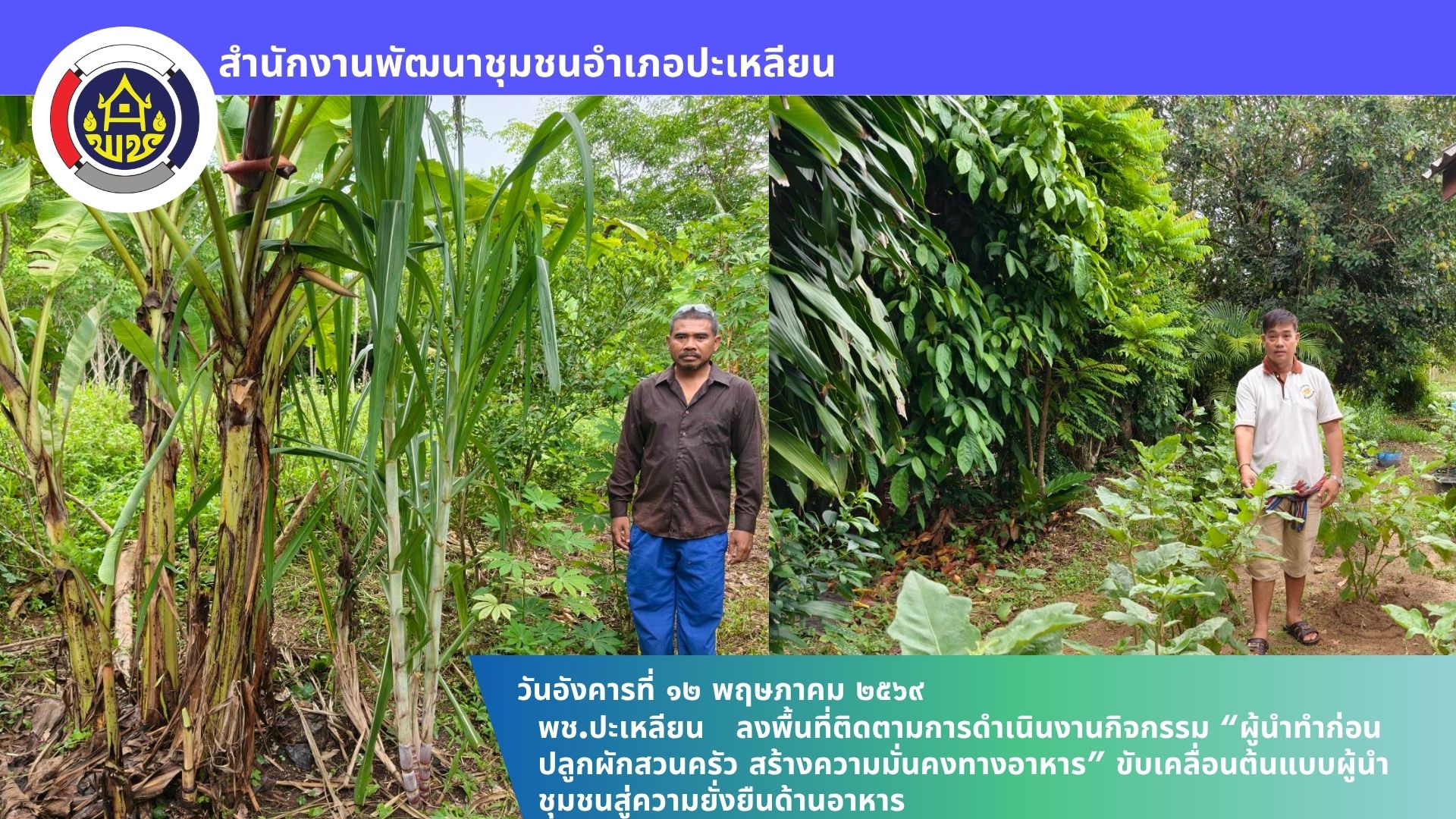 📢 พช.ปะเหลียน ลงพื้นที่ติดตามการดำเนินงานกิจกรรม “ผู้นำทำก่อน ปลูกผักสวนครัว สร้างความมั่นคงทางอาหาร” ขับเคลื่อนต้นแบบผู้นำชุมชนสู่ความยั่งยืนด้านอาหาร